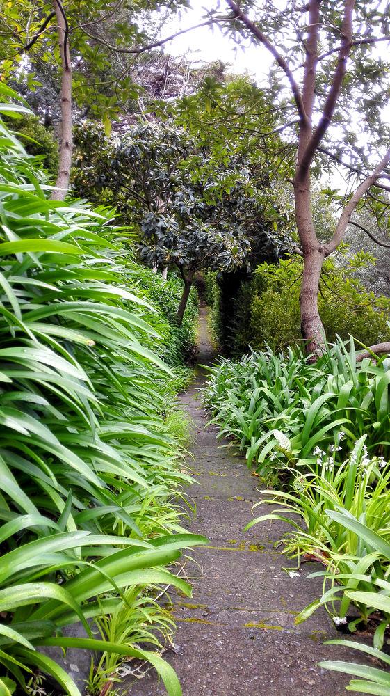 Dorisol Pousada Dos Vinhaticos Serra de Agua ภายนอก รูปภาพ