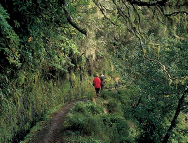 Dorisol Pousada Dos Vinhaticos Serra de Agua ภายนอก รูปภาพ